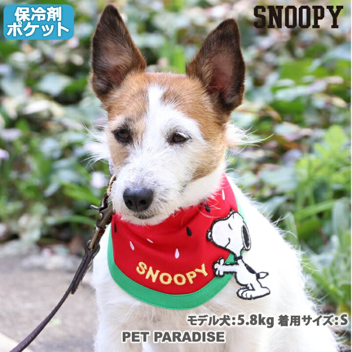 楽天市場 犬 クールバンダナ ひんやり 夏 バンダナ 保冷剤付き スヌーピー クール バンダナ 小型犬 スイカ ネッククーラー グッズ 首元 ひんやり バンダナ ひんやり 涼感 冷却 吸水速乾 キャラクター メール便可 ペットパラダイス