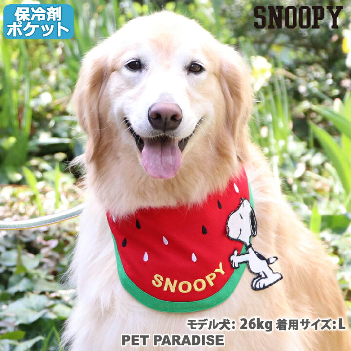 楽天市場 犬 クールバンダナ ひんやり 夏 バンダナ 保冷剤付き スヌーピー クール バンダナ 中 大型犬 スイカ ネッククーラー 首元 ひんやり バンダナ ひんやり 涼感 冷却 吸水速乾 メール便可 ペットパラダイス