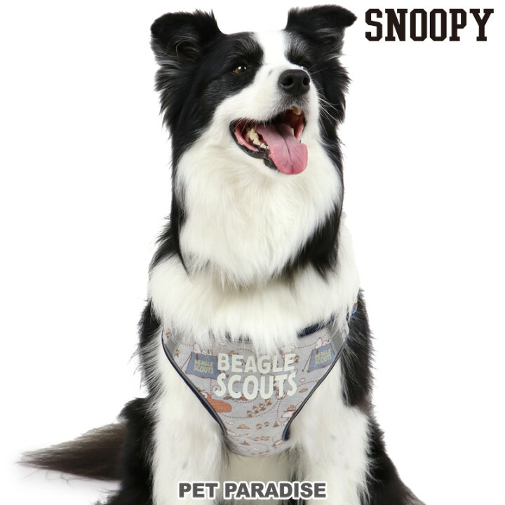楽天市場 犬 ハーネス スヌーピー 2way ｓｍ 反射 ビーグルスカウト柄 グッズ 小型犬 おさんぽ おでかけ お出掛け おしゃれ オシャレ かわいい キャラクター 母の日 プレゼント 父の日 ペットパラダイス