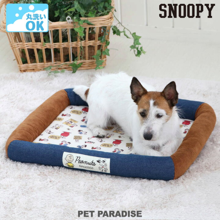 楽天市場 300円offｸｰﾎﾟﾝ対象 犬 ベッド おしゃれ ウォッシャブル 洗える スヌーピー カドラーベッド 57 45cm 月間送料無料 グッズ 犬 猫 ペットベット ハウス 小型犬 介護夏クッション キャラクター 母の日 プレゼント 父の日 ペットパラダイス