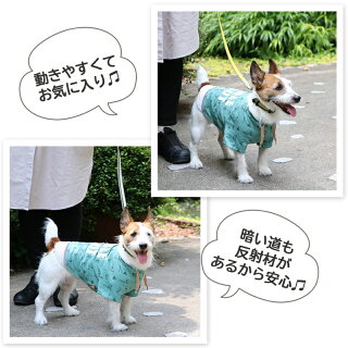 楽天市場 クーポン利用で300円off 犬 服 夏 スヌーピー tシャツ 中 大型犬 ビーグルスカウト 反射 犬服 犬の服 犬 服 ペットウエア ペットウェア ドッグウエア ドッグウェア 中型犬 大型犬 メール便可 ペットパラダイス 楽天市場 クーポン利用で300円off 犬 服 夏 スヌーピー tシャツ 中 大型犬 ビーグルスカウト 反射 犬服 犬の服 犬 服 ペットウエア ペットウェア ドッグウエア ドッグウェア 中型犬 大型犬 メール便可 ペットパラダイス