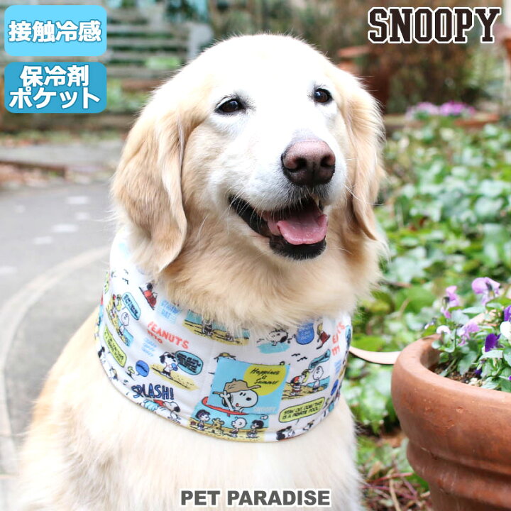 楽天市場 犬 クールネック クール バンダナ ひんやり 夏 保冷剤付き スヌーピー ハッピーサマー ネッククーラー 中型犬 大型犬 首元 ひんやり バンダナ ひんやり 涼感 冷却 吸水速乾 キャラクター メール便可 ペットパラダイス
