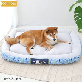 【最大2000円OFFクーポン】犬 ベッド クール 夏 スヌーピー カドラー 小型犬 中型犬 大型犬 | バケーション柄 四角 接触冷感 夏用 猫 ペットベッド 洗える ひんやり 涼感 冷却 暑さ対策 介護 シニア クッション ふわふわ クールベッド