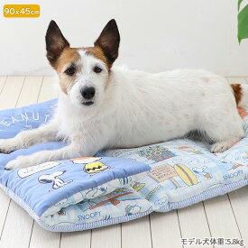 【最大50％OFFクーポン】犬 クッション ロールマット 夏 クール スヌーピー 小型犬 中型犬 大型犬 | サマータイム柄 接触冷感 ペット コンパクト 猫 暑さ対策 熱中症対策 持ち運び ひんやり 冷却 冷感 涼感 車