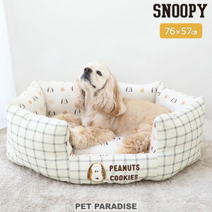 y{20`撅50N[|zy880~OFFzXk[s[  xbh NbL[ Jh[ ^ ^ | 􂦂 ی^  ̂ {̂ ӂӂ ybgJh[