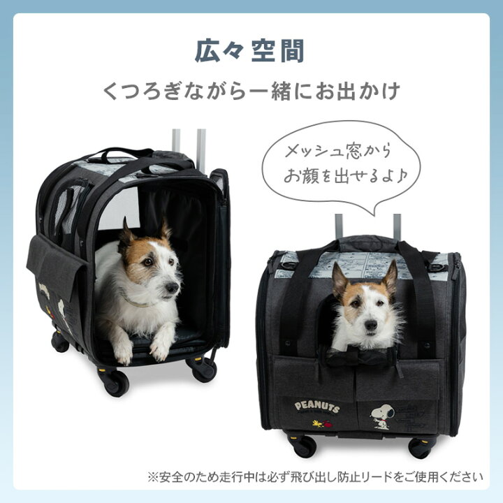 楽天市場】【880円OFF】【P5倍】【ペットパラダイス公式】 スヌーピー 