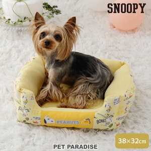 y880~OFFzXk[s[  xbh ꏏ Jh[ 􂦂 ^ y38×32cmz | ӂӂ  킢 L ybgxbh   􂦂  ̂ {̂