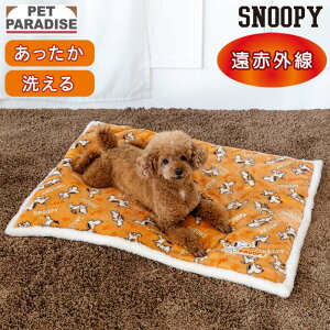 y880~OFFzXk[s[  }bg ~p i80cm×60cmj ĂĂ lp {A}bg | ԊO 􂦂   ybg xbh ~ 킢   IW