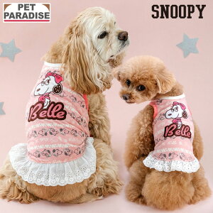 Xk[s[ x   t  Cɓ ^Ngbv ^ ^ | sN  킢 