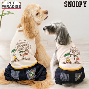 �y�y�b�g�p���_�C�X�����z �X�k�[�s�[ �� �� �t ���b�y�� �p���c�Ȃ� ���^�� ���^�� | ���Ȃ� �x�[�W�� �I�[�o�[�I�[�� �u�����h �J�W���A�� ������� ���킢��