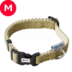 AhCg \tgXLbv J[ M O[i`20kg܂ł̒^  Uj