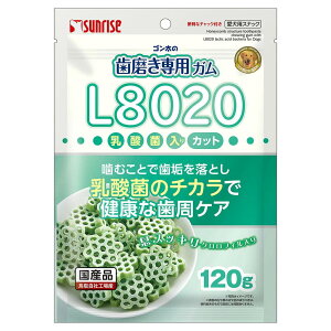 TCY S̎pK L8020_ۓ Jbg NtB 120gipXibN PA }Jj