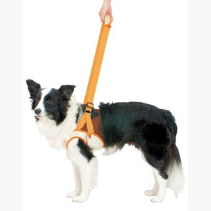 yeBI Vp s⏕n[lX Op 2LTCYi20kg܂ł̒^p T|[gj