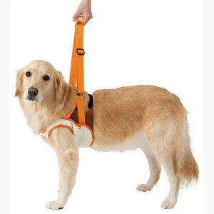 ペティオ 老犬介護用 歩行補助ハーネス 前足用 3Lサイズ(30kgまでの大型犬用 サポート)