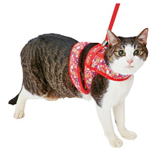 yeBI L \tgn[lX[h ܂ S bhiLp  j