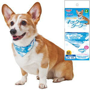 �y�e�B�I �l�b�N�N�[���[ �J���t�� �u���[ M�i�Ђ��� �o���_�i�^�C�v �N�[�� �M���Ǒ΍�j