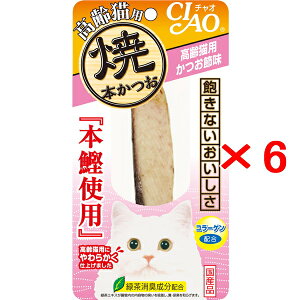 y6ZbgzȂ΃ybg CIAO `I Ė{ Lp ߖ 1{×6iHK-21 VjALp Ă{j