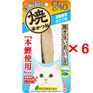 y6ZbgzȂ΃ybg CIAO `I Ė{ Lp قĖ 1{×6iHK-22 VjALp Ă{j