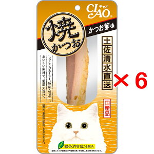 y6ZbgzȂ΃ybg CIAO `I Ă ߖ 1{×6iYK-01 Lp Ăj