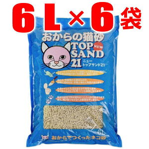 y6ܓszTCg j[ NEWgbvTh21 6L×6܁i̔L gC  IJ GR  R₹ ł܂j