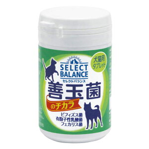 ZNgoX Pʋۂ̃`J Lpi^ubgj 45g iLpTvg   r[y _ xbc`CXj