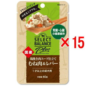 【15袋セット】セレクトバランスPlus 鶏挽き肉スープ仕立て むね肉＆レバー 腎臓・心臓の健康維持/1才以上の成犬用 40g（ベッツチョイス）