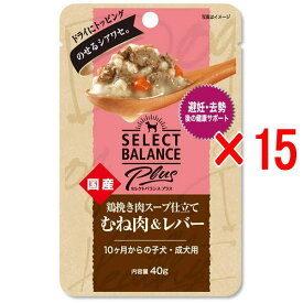 【15袋セット】セレクトバランスPlus 鶏挽き肉スープ仕立て むね肉＆レバー 避妊・去勢後の健康サポート/10ヶ月からの子犬・成犬用 40g（ベッツチョイス）