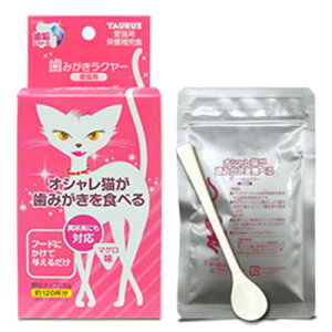 g[X ݂N[ Lp }O 25giLp f^PAj