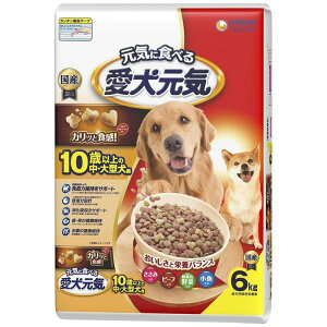 C 10Έȏ̒E^p ݁Er[tEΉF؁E 6kgihbOt[h j`[j