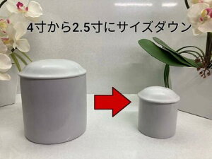 ybgEpE_[HiUEEۑpj^܂ŁiƍH摜tj