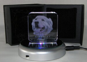 ybgpNX^Xʔv2D~jiLEDX^htjP4dr