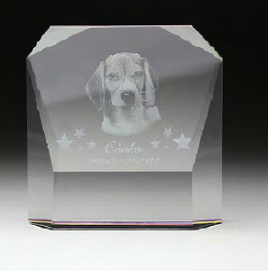 NX^jgEybgʔvE2D[U[KP-3yzOHz