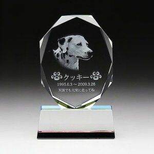 ybgʔv@NX^2DyKp2zy[U[z