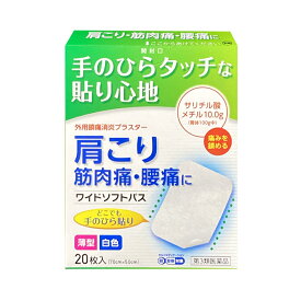 【第3類医薬品】シップ ワイドソフトパス(7cm×5cm×20枚) 腰痛 打撲 捻挫 肩こり 関節痛 筋肉痛 筋肉疲労 しもやけ 湿布 貼付剤 パップ剤 鎮痛消炎プラスター