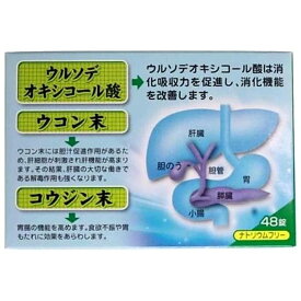 【第3類医薬品】胃腸薬 ロダン胃腸薬S錠(48錠) 食べ過ぎ 飲み過ぎ 胸やけ 胃もたれ 二日酔 はきけ 食欲不振 食欲減退 胃部膨満感 腹部膨満感 消化不良 胃弱 胸つかえ 胃のむかつき 悪酔のむかつき 嘔気 悪心 嘔吐 消化促進 消化不良