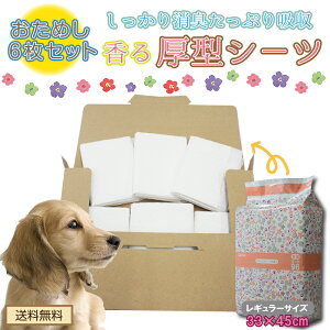 y zz L ^ybgV[c Iׂ郌M[6 Ch3@t[\[v̍t ^ z ybgV[g gCV[g V[g gCpi IVbR 