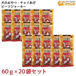 ̂ `C r[tW[L[ 60g ×20  `CV[Y Y