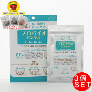 yY ܂tzvoCI f^PET ^Cv 60×3 hbOt[h TvgiTvESupplementj f^/bt oPʋ I[PA pi ybgEyb