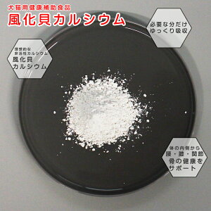 y㐄z L JVE Tv Pepe VRL JVE pE_[ 60g  G ֐ T|[g x VjA Y 