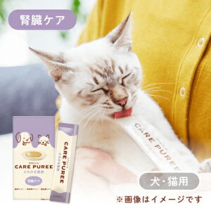 CARE PUREE@PAs[ tPA Ƃ낯ni10g×10{jLpt[h ҂[ [