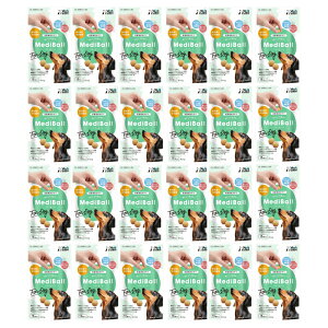 fB{[ p ݖ(15)×24yVet's Labozs ⏕p