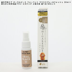 I[s[X tH[ybg }EXXv[&EHbV 30ml×_炩VRюuV ~KPf ^p Iׂ1{Zbg  ybgpI[PA Η\hPA