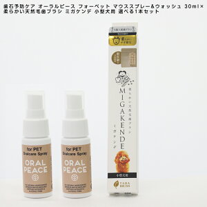 I[s[X tH[ybg }EXXv[&EHbV 30ml(2j× _炩VRюuV ~KPf ^p Iׂ1{Zbg  ybgpI[PA Η\hPA