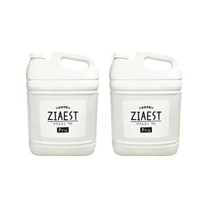 WAGXgv ZIAEST PRO (5L) ×2Zbg Lp ہEL f_ gCpi  ECX 