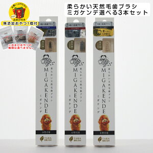 �y���Y������� ���܂��t���z�_�炩���V�R�� ���u���V �~�K�P���f ���^���p �I�ׂ�3�{�Z�b�g�i���M�E�n�E���M���E�}�j �f���^���P�A