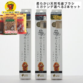 【選べる2本セット＋おまけ】犬用歯ブラシ 小型犬 天然毛 ミガケンデ やわらかい歯ブラシ デンタルケア用品
