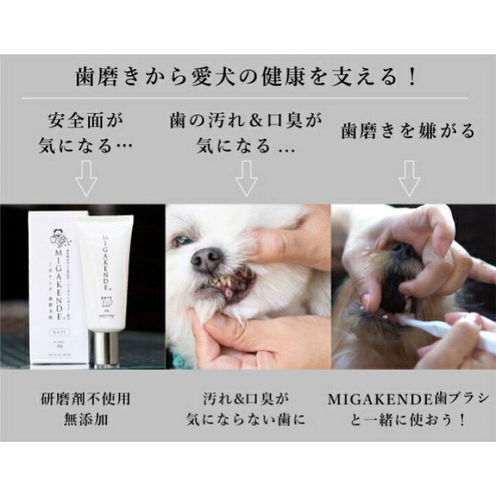 1110円 【税込】 ペットキン 犬 猫用 歯ブラシ2種類歯磨き粉 3点セット - 1110円 【税込】 ペットキン 犬 猫用 歯ブラシ2種類歯磨き粉 3点セット -