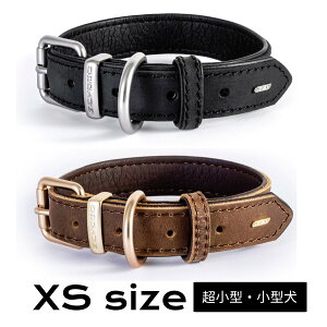 yEZYDOGz U[J[  v yXSTCYz ^ ^