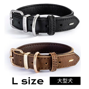 yEZYDOGz U[J[  v yLTCYz ^