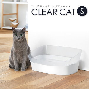 {rAR gC NALbg STCY LEgCm[}gC{